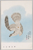 小室翠雲画｢鷹」/