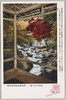 藤木川の清流/Limpid Stream of the Fujiki River image