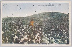 南米ペルー国鳥糞島探検中の菅野力夫 / Sugano Rikio during His Expedition to a Guano Island of Peru, South America image