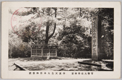 官幣大社香椎宮 / National Shrine of Major Grade Kashiigū Shrine image