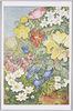 丸山晩霞画　草花/Painting by Maruyama Banka, Flowering Plants image