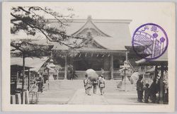 亀戸藤花 / Wisteria Flowers in the Kameido Tenjin Shrine image