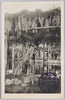 藤の幹と池/Trunk of the Wisteria Tree and Pond image