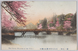 桜ノ百景 / One Hundred Views of Cherry Blossoms image