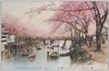 江戸川の桜花/Cherry Blossoms along the Edogawa River image