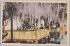 Wisteria　blossoms　Kamata　near　Tokyo.(東京近郊　蒲田の藤花)/Wisteria Blossoms in Kamata near Tokyo image