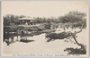 日比谷公園新心字池/Shinji Pond at Hibiya Park image