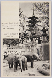 東京名所 / Picture Postcards of Famous Views of Tokyo image