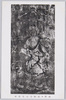 11号壁　普賢菩薩像/Wall No. 11, Image of Fugen Bosatsu (Samantabhadra Bodhisattva) image