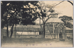 東京勧業博覧会 植物温室 / National Industrial Exhibition in Tokyo, Greenhouse image