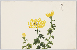 [女学生習作絵葉書] / Postcards, Studies by Girl Students image