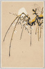 [女学生習作絵葉書 白梅]/Postcards, Studies by Girl Students: White Plum Blossoms image