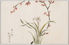 [女学生習作絵葉書 水仙]/Postcards, Studies by Girl Students: Daffodils image