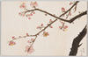 [女学生習作絵葉書 紅梅]/Postcards, Studies by Girl Students: Red Plum Blossoms image