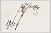 [女学生習作絵葉書 竹と月]/Postcards, Studies by Girl Students: Bamboo and Moon image