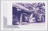 赤城神社/Akagijinja Shrine image