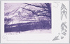 冬の赤城黒桧山/Mt. Akagi Kurobiyama in Winter image