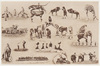 万国婦人子供博覧会協賛会サーカス資料 絵葉書/Circus Related Material from Support Association of International Women’s and Children’s Exhibition, Postcard image
