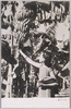 バナナ畑/Banana Field image