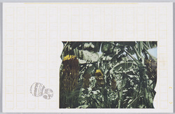 原稿用紙デザイン絵葉書 / Designed Postcards with the Background of Manuscript Paper image