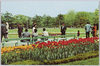 日比谷公園/Hibiya Park image