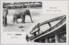 モノレール・上野動物園/Monorail, Ueno Zoo image
