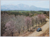 霧降高原と日光連山/Kirifuri Highland and Nikkō Mountain Range image