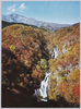 日光三大名瀑霧降の滝/One of Nikkō's Three Famous Waterfalls: Kirifuri Waterfall image