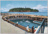 江の島マリンランド/Enoshima Island, Marine Land image