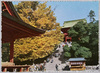 鶴岡八幡宮/Tsurugaoka Hachimangū image