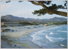 伊豆・白浜海岸/Izu, Shirahama Beach image