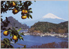 伊豆・三津浜海岸の富士/Izu, Mt. Fuji From Mitohama Beach image