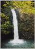 伊豆・天城山中の浄蓮の滝/Izu, Jōren Falls in Mt. Amagi image