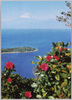 伊豆・大瀬崎の美観/Izu, A Beautiful View of Ōsezaki image