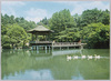 成田山公園(浮御堂)/Naritasan Park (Ukimidō) image