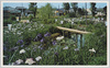 美しく咲いた潮来あやめ園/Beautiful Itako Iris Park in Full Bloom image