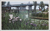 潮来水雲橋とあやめ園/Itako Suiunkyō and Iris Park image