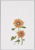 No.99 ひまわり 安達巖(大阪府)/No. 99, Sunflower, Adachi Iwao (Osakafu) image