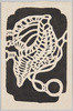 巻貝/Conch image