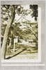 (鎌倉名勝)長谷観音/(Scenic Beauties of Kamakura) Statue of Hasekannon image