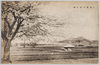 土浦桜川堤の桜/Cherry Blossoms Along the Sakuragawa Riverbank in Tsuchiura image