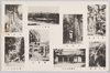 春日大杉・春日神鹿　ほか/Giant Cedar Tree of Kasuga; Sacred Deer of Kasuga, and Others image