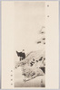 養老 木村武山/Yōrō, by Kimura Busan image