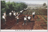 労作体験　堆肥づくり/Labor Experience, Compost Making image