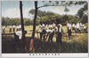 労作体験　農耕作業/Labor Experience, Farming image