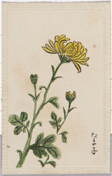 絵葉書(杉浦たま子画) / Picture Postcard (Painting by Sugiura Tamako) image