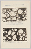 特許ワーレナイトビチュリシツク舗装の断面図/Cross Section of the Patented Warrenite-Bitulithic Pavement image
