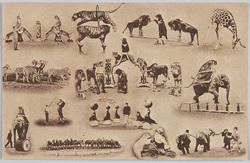 萬国婦人子供博覧会絵葉書 / The Women's and Children's International Exhibition Picture Postcard image