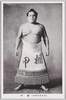 楯甲/Tatekabuto image