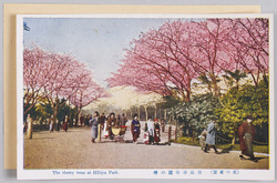 花の東京 / Floral Tokyo image